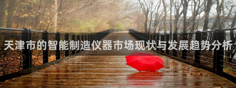 恒行5：天津市的智能制造仪器市场现状与发展趋势分析