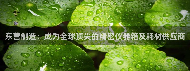 恒行2尤74OOO5：东营制造：成为全球顶尖的精密仪器箱及耗