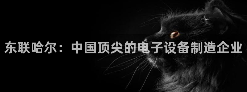 恒行2朱74OOO5：东联哈尔：中国顶尖的电子设备制造企业