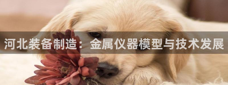 恒行5娱乐：河北装备制造：金属仪器模型与技术发展