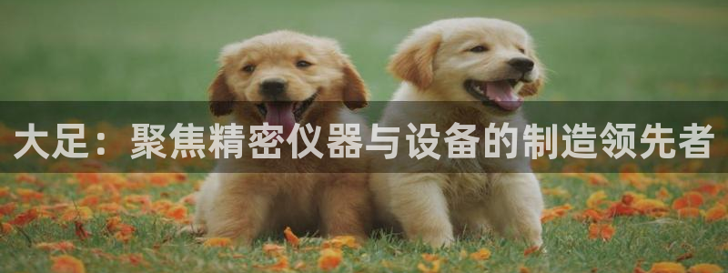 恒行娱乐度74ooo5聘霖：大足：聚焦精密仪器与设备的制造领