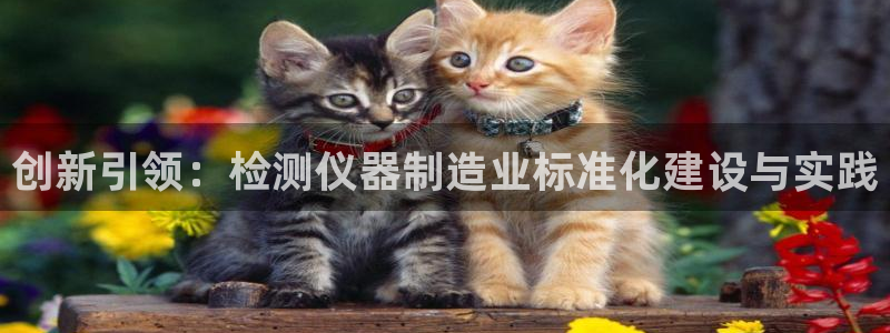 恒行登录老大6ll5l典型：创新引领：检测仪器制造业标准化建