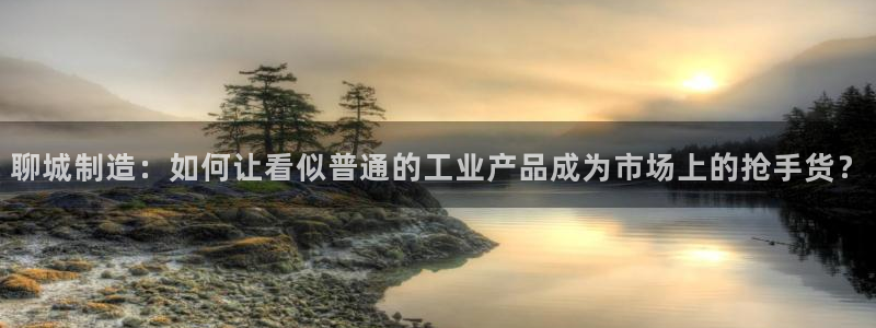 恒行2卫74OOO5：聊城制造：如何让看似普通的工业产品成为