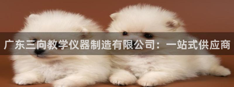 恒行2吕74OOO5：广东三向教学仪器制造有限公司：一站式供