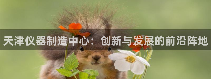 恒行2下74OO5：天津仪器制造中心：创新与发展的前沿阵地