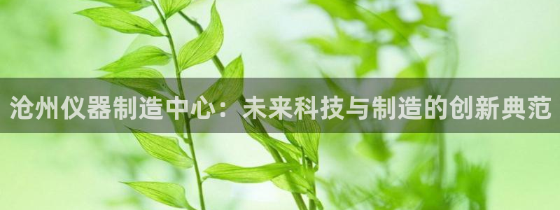 恒行2冯74OOO5：沧州仪器制造中心：未来科技与制造的创新