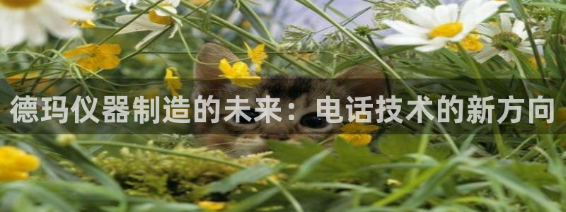 恒行娱乐5ll533主管耐心：德玛仪器制造的未来：电话技术的