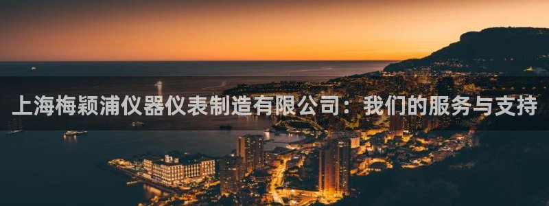 恒行2吴74OOO5：上海梅颖浦仪器仪表制造有限公司：我们的