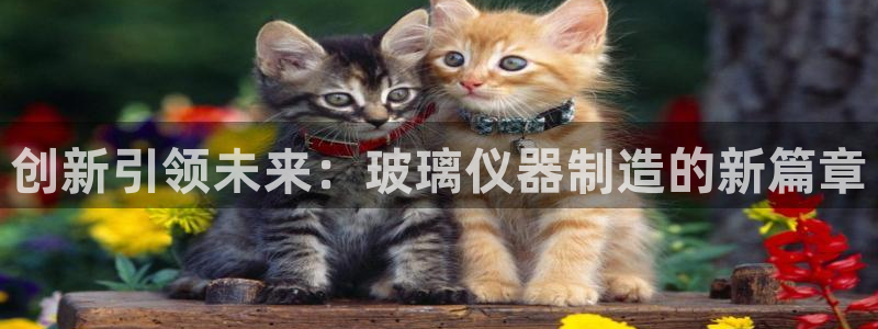 恒行登录就搜6ll5l：创新引领未来：玻璃仪器制造的新篇章