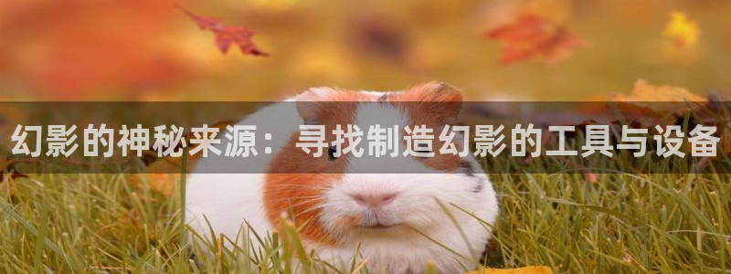 恒行娱乐5ll533主管耐心：幻影的神秘来源：寻找制造幻影的