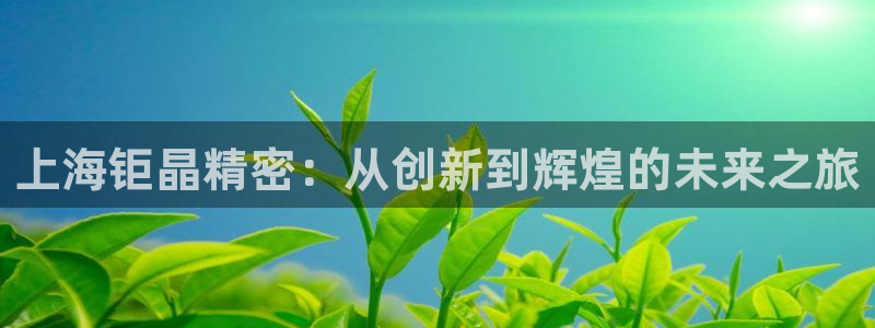 恒行注册全2O5O5O：上海钜晶精密：从创新到辉煌的未来之旅