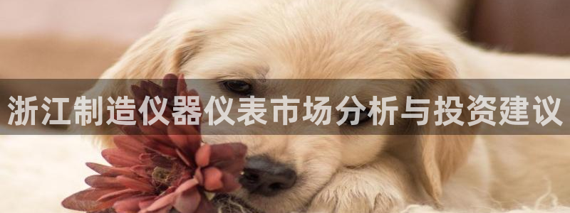 恒行彩票亏5千：浙江制造仪器仪表市场分析与投资建议