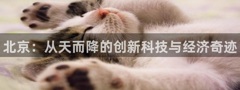 恒行彩票亏5千：北京：从天而降的创新科技与经济奇迹
