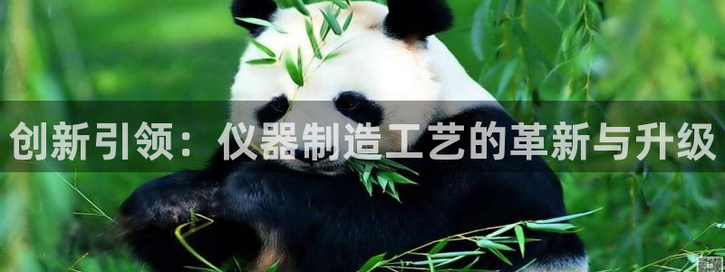 恒行娱乐5ll533主管正直：创新引领：仪器制造工艺的革新与