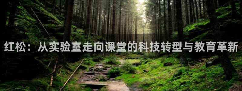 恒行娱乐度74ooo5聘霖：红松：从实验室走向课堂的科技转型