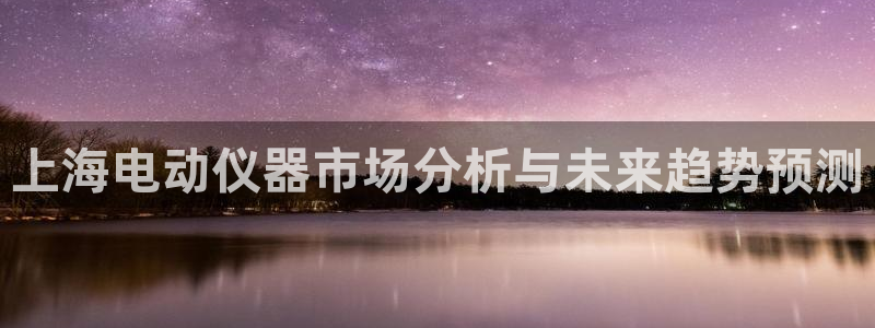 恒行2地74OOO5：上海电动仪器市场分析与未来趋势预测