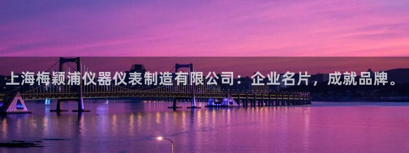 恒行注册招收6ll5l指定：上海梅颖浦仪器仪表制造有限公司：