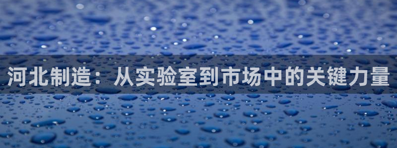 恒行娱乐吴74OOO5：河北制造：从实验室到市场中的关键力量