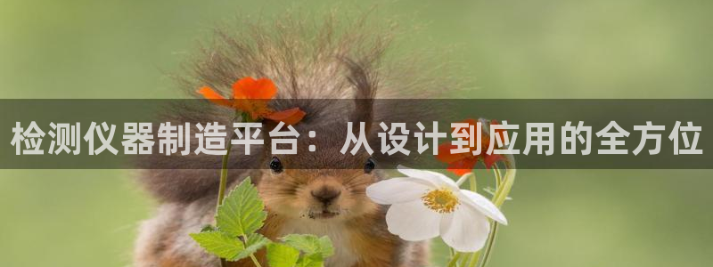 恒行娱乐吴74OOO5：检测仪器制造平台：从设计到应用的全方