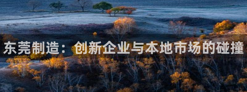 恒行娱乐登录5ll533主管一流：东莞制造：创新企业与本地市