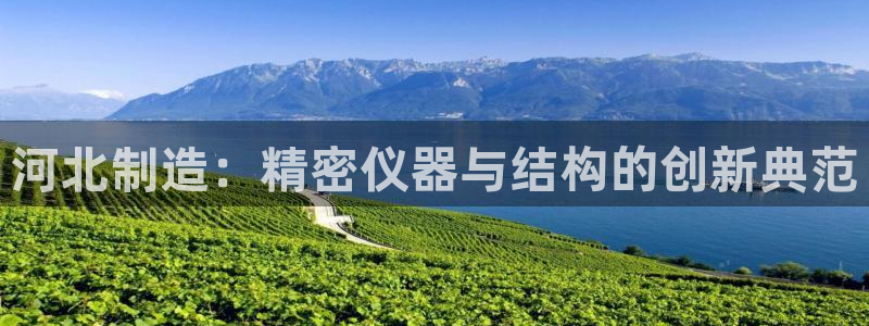 恒行5娱乐：河北制造：精密仪器与结构的创新典范