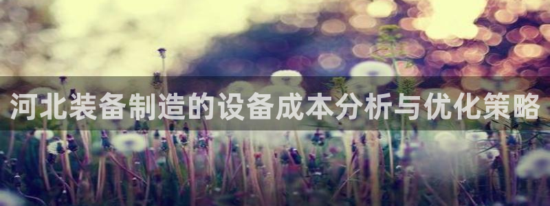 恒行3乃5O6917：河北装备制造的设备成本分析与优化策略