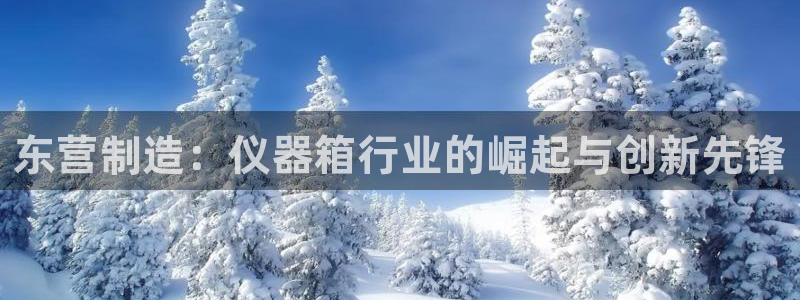 恒行2吴74OOO5：东营制造：仪器箱行业的崛起与创新先锋