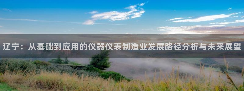 恒行开户全2O5o5O：辽宁：从基础到应用的仪器仪表制造业发